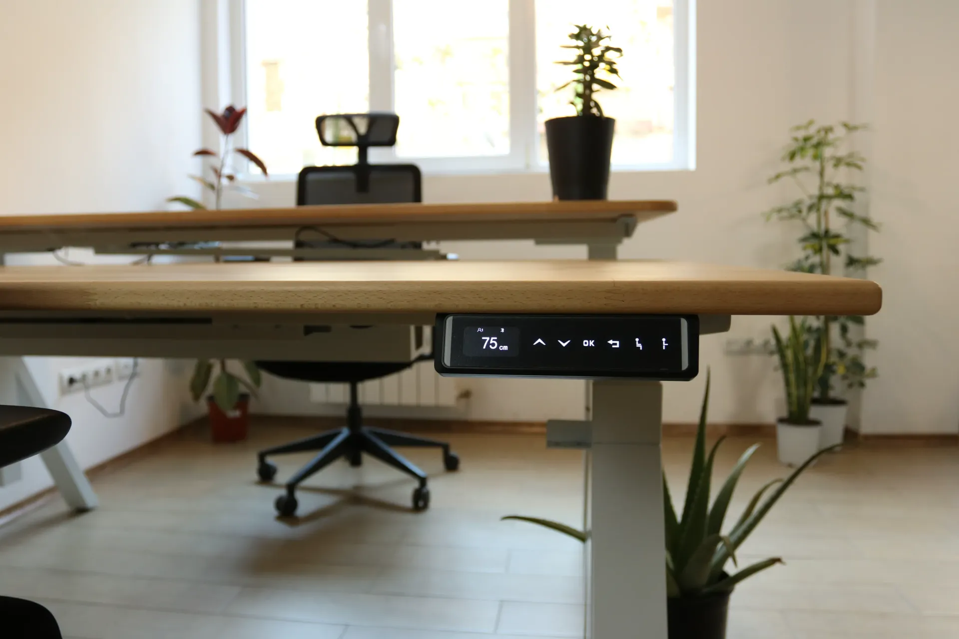 Custom Wooden Monitor Stand