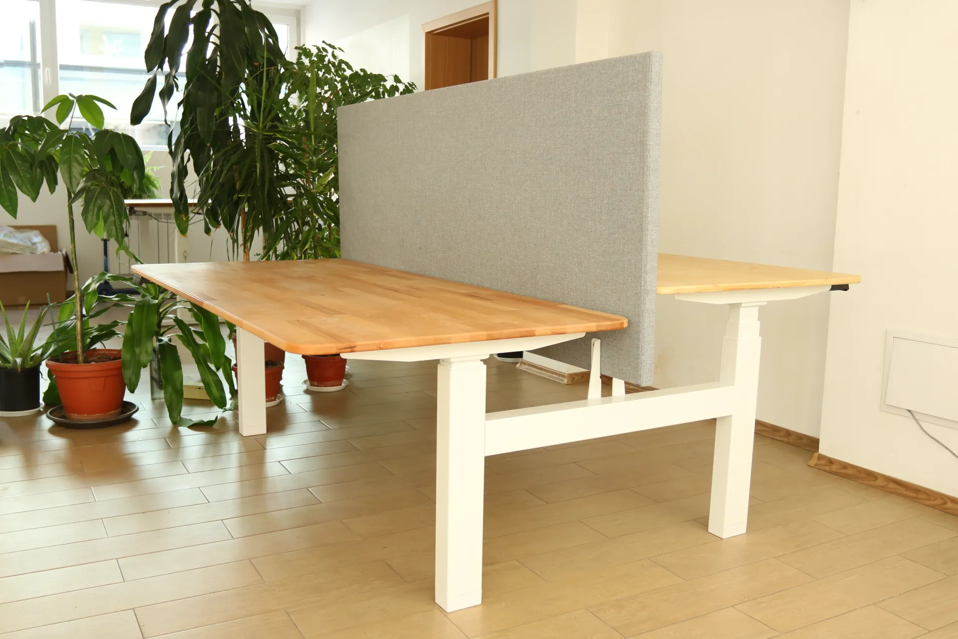 Ergonomic Workspace with Dual Monitor Setup