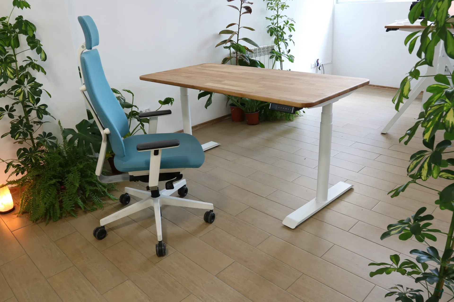 Ergonomic Chair and Wooden Desk Pair
